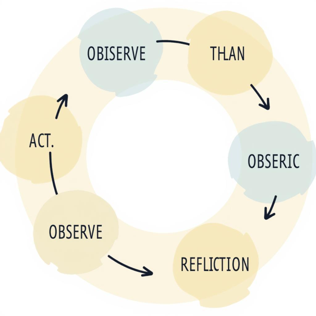 Action Research Cycle