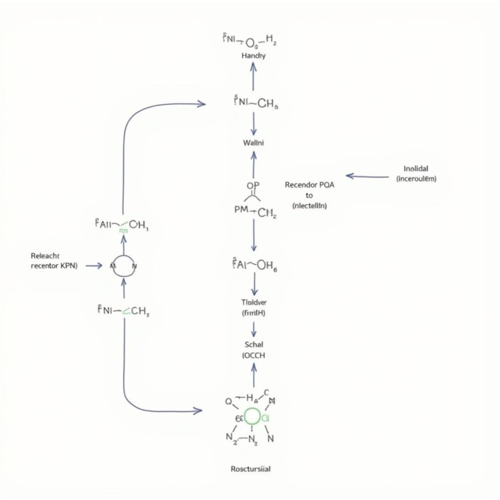 Aminos Research Peptides Mechanism of Action