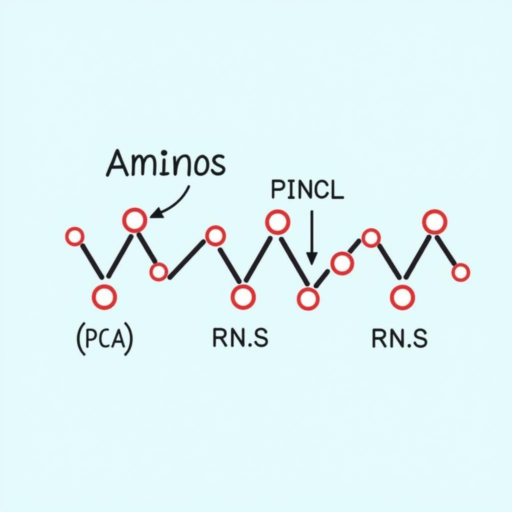 Aminos Research Peptides Structure