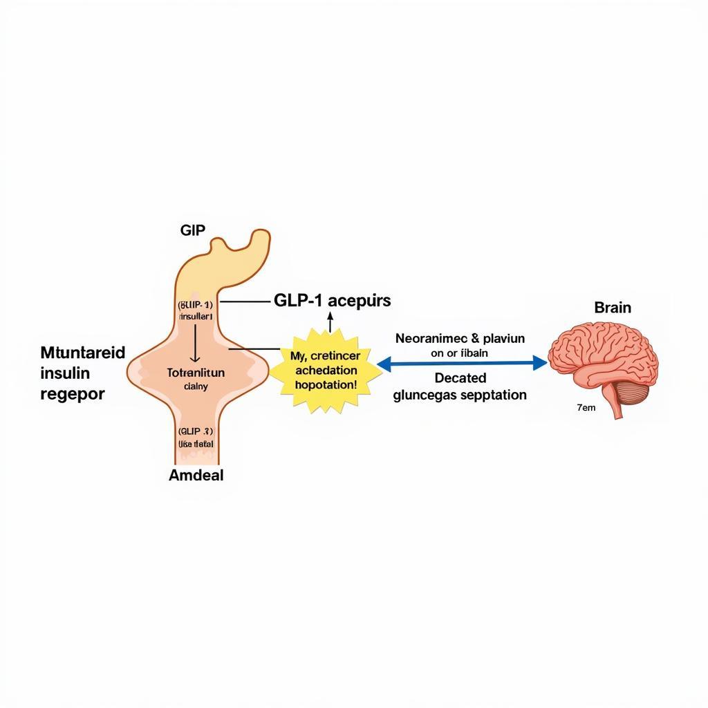 Tirzepatide Mechanism of Action