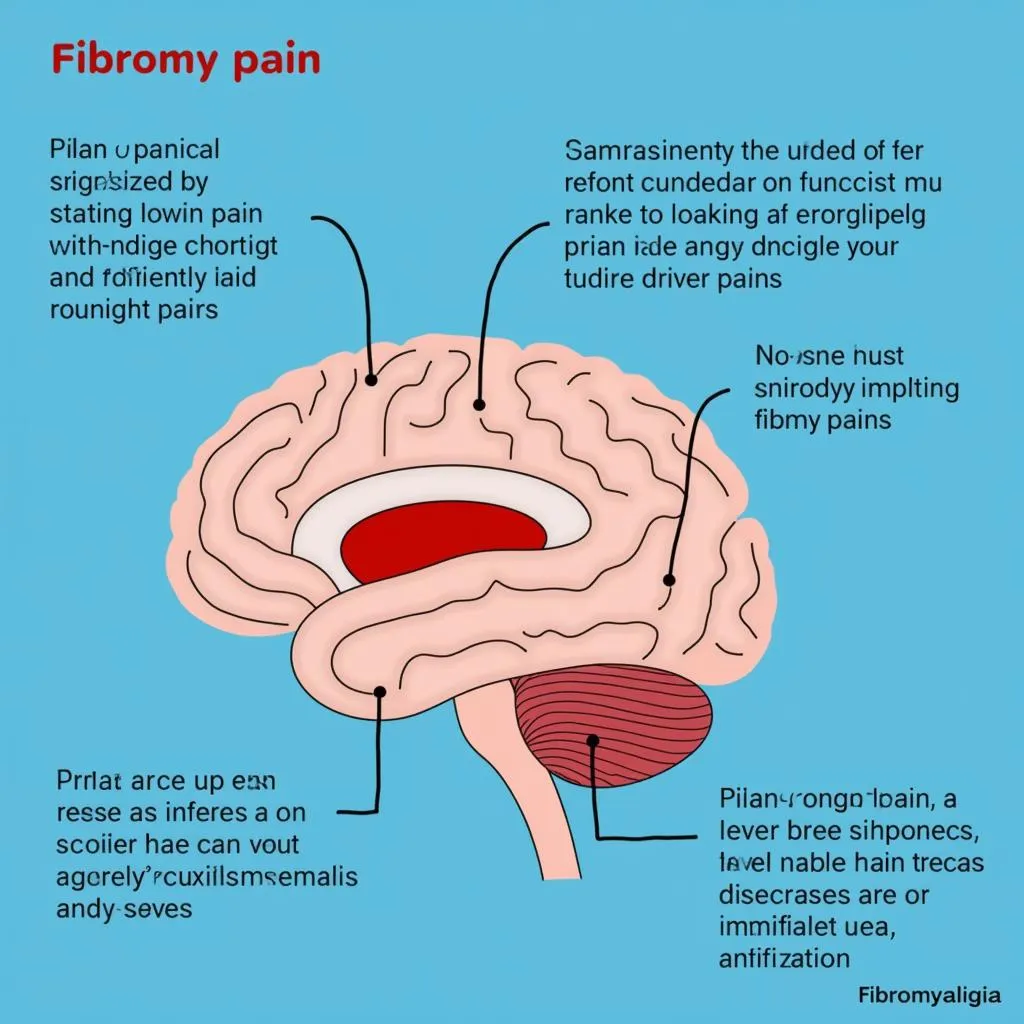 Brain Processing Pain Signals