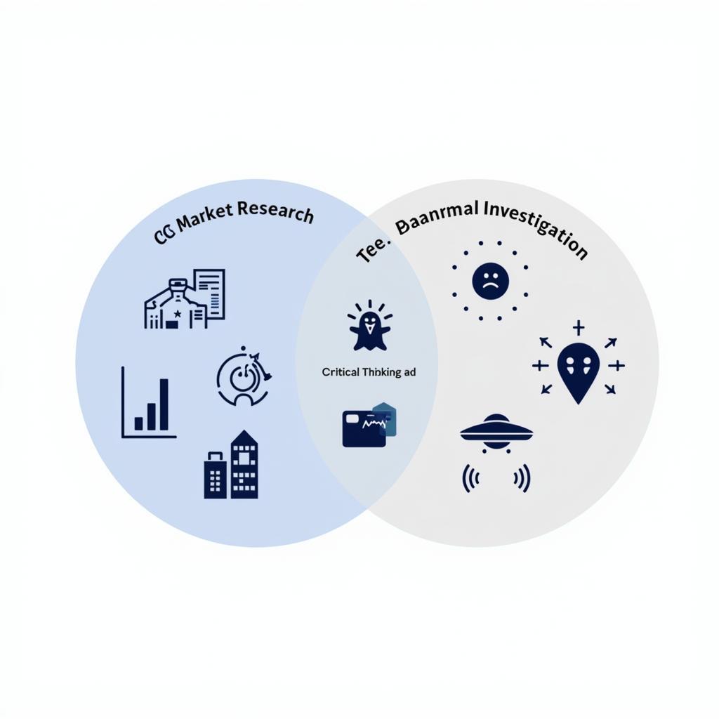 Unlocking the Unknown with CC Market Research