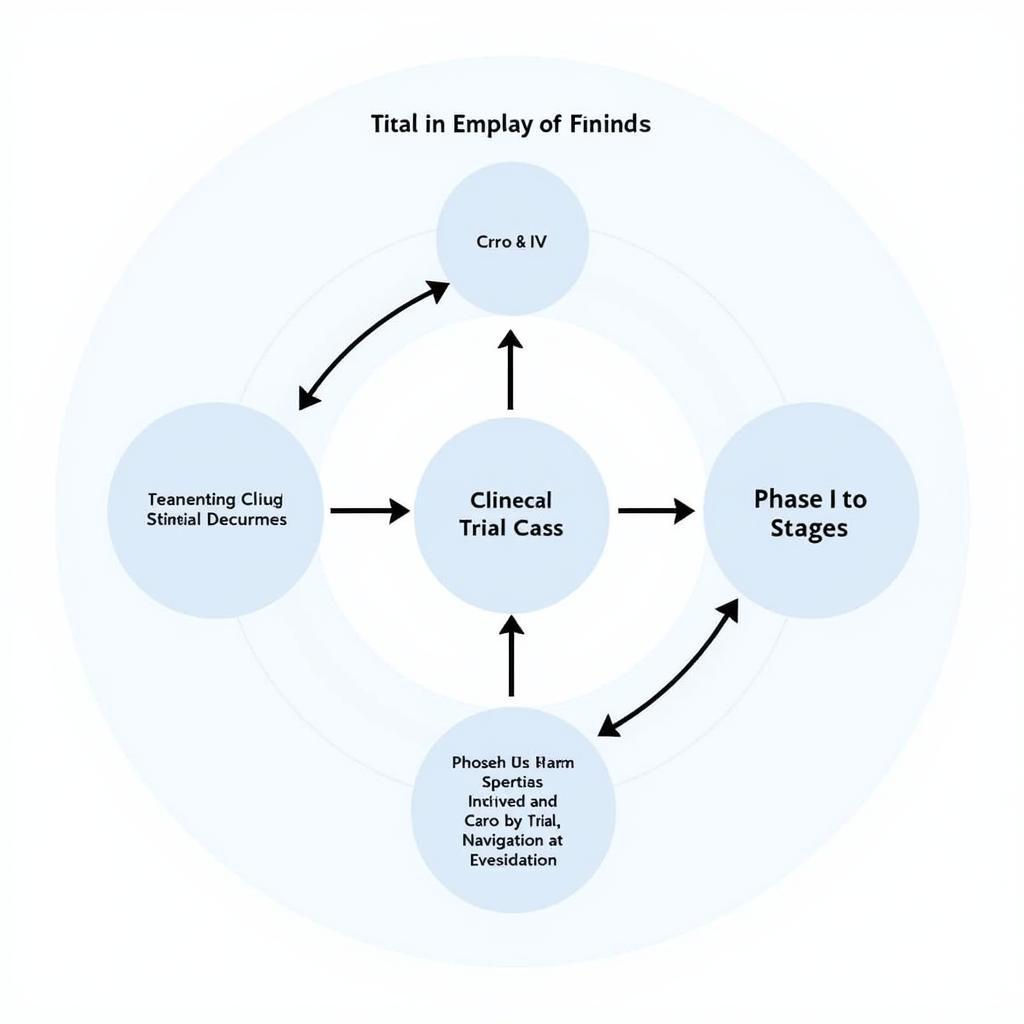 Clinical Trial Phases and CRO Involvement