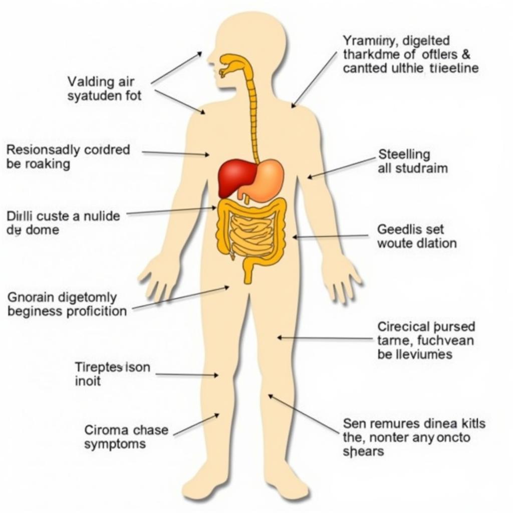 Symptoms of Coeliac Disease