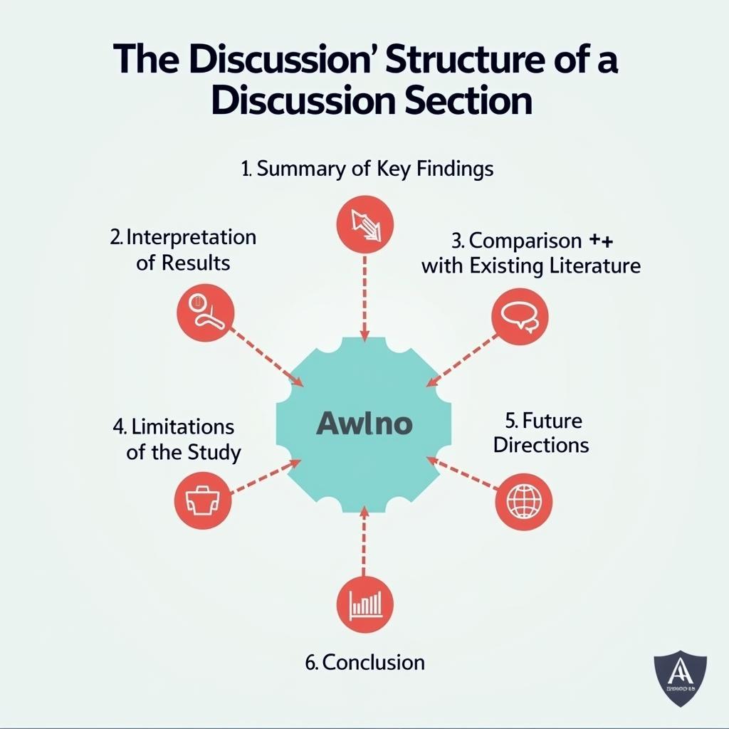 discussion section structure