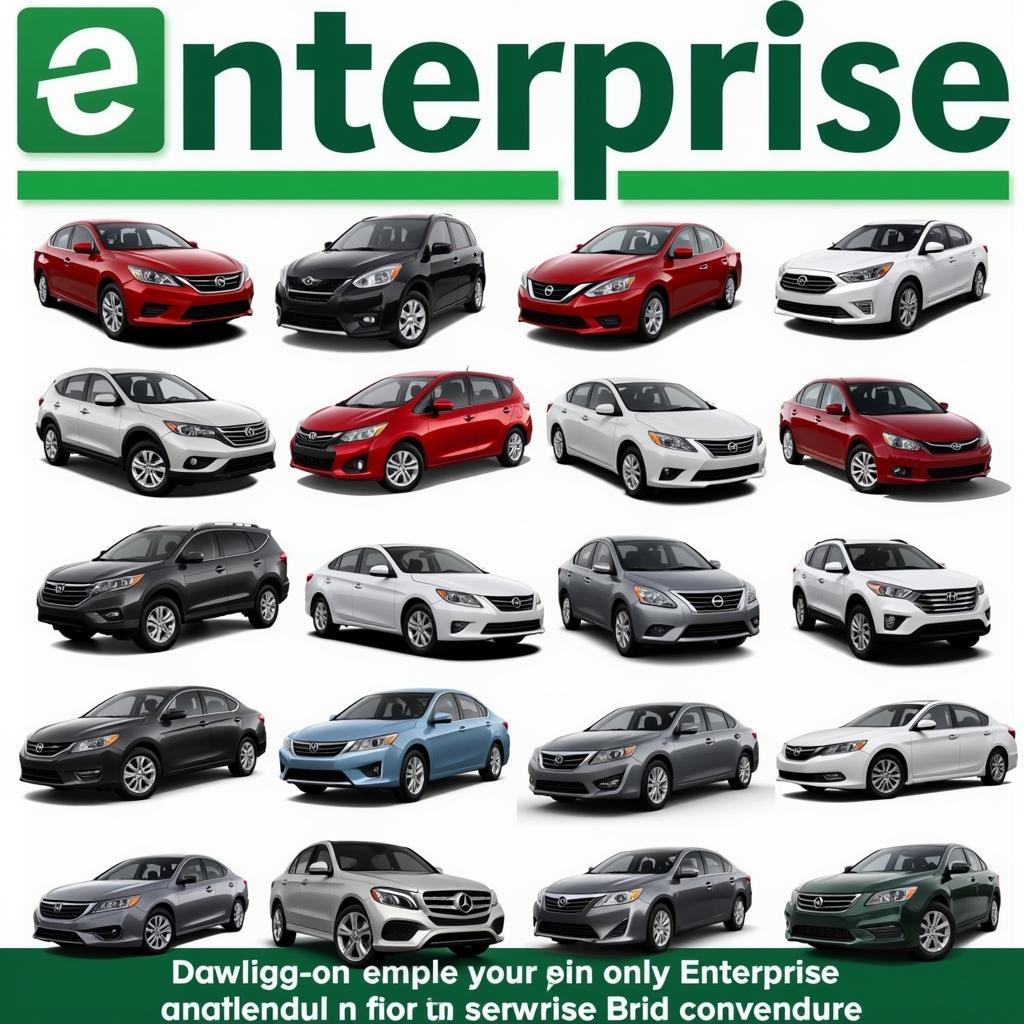 Diverse Car Options at Enterprise Rent-A-Car in Austin