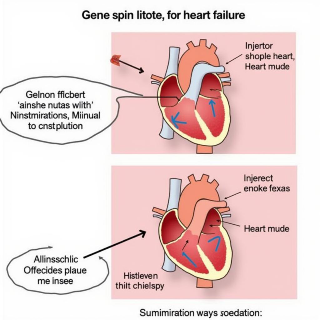 Gene Therapy for Heart Failure