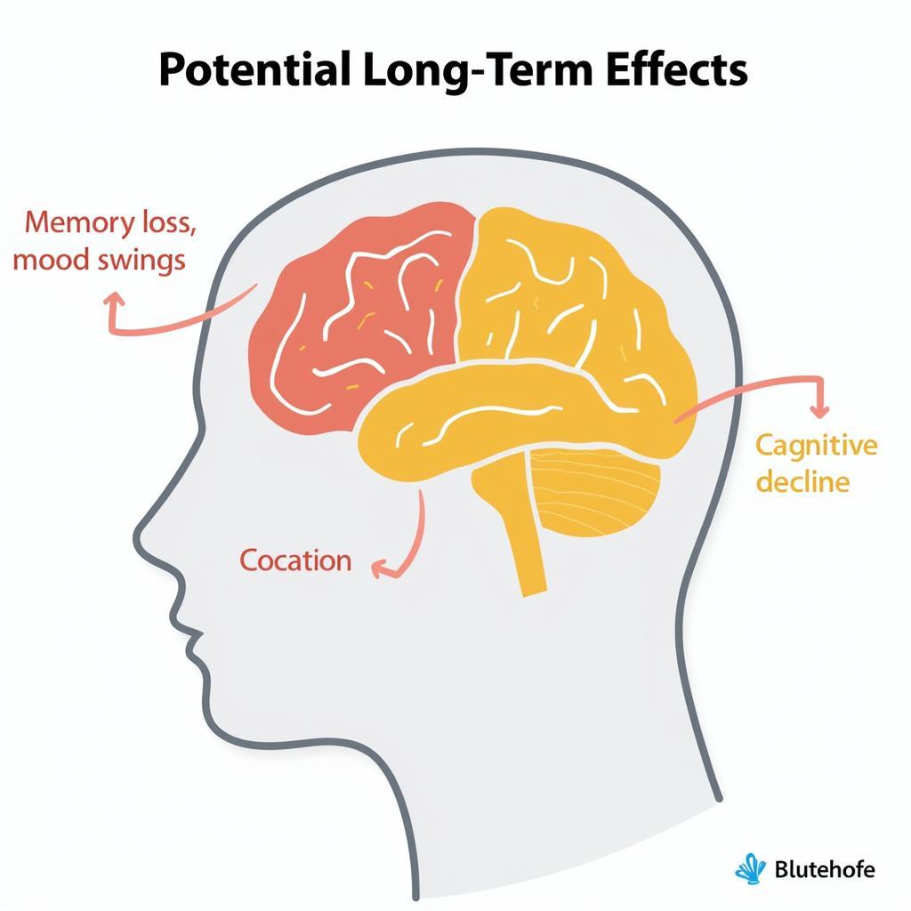 Long-Term Effects of Concussions