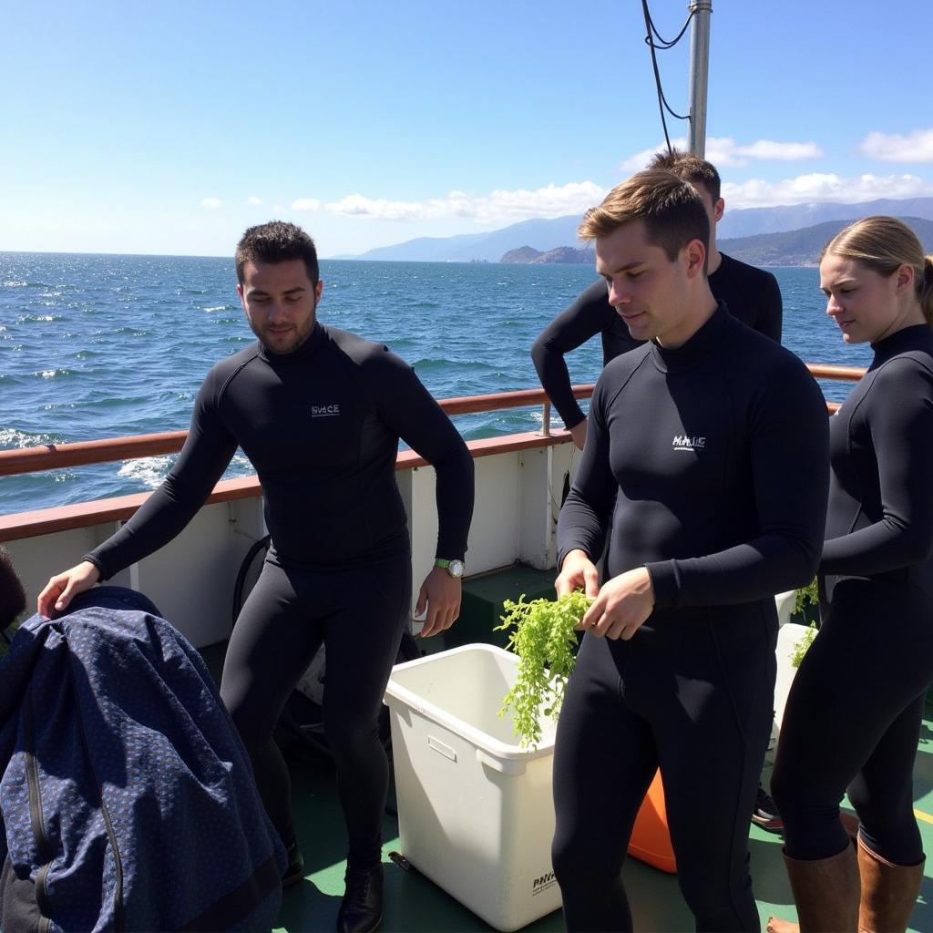 Undergraduates conducting marine biology fieldwork