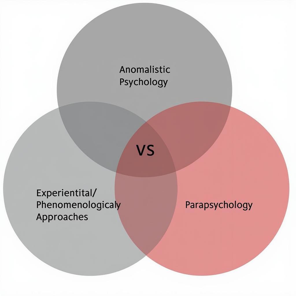 Paradigms in Paranormal Research