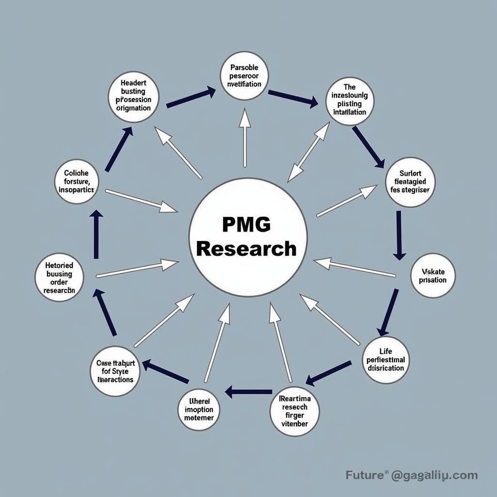 Future Directions of PMG Research