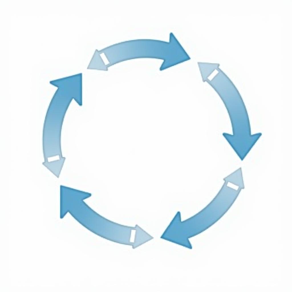 Quality Improvement Cycle