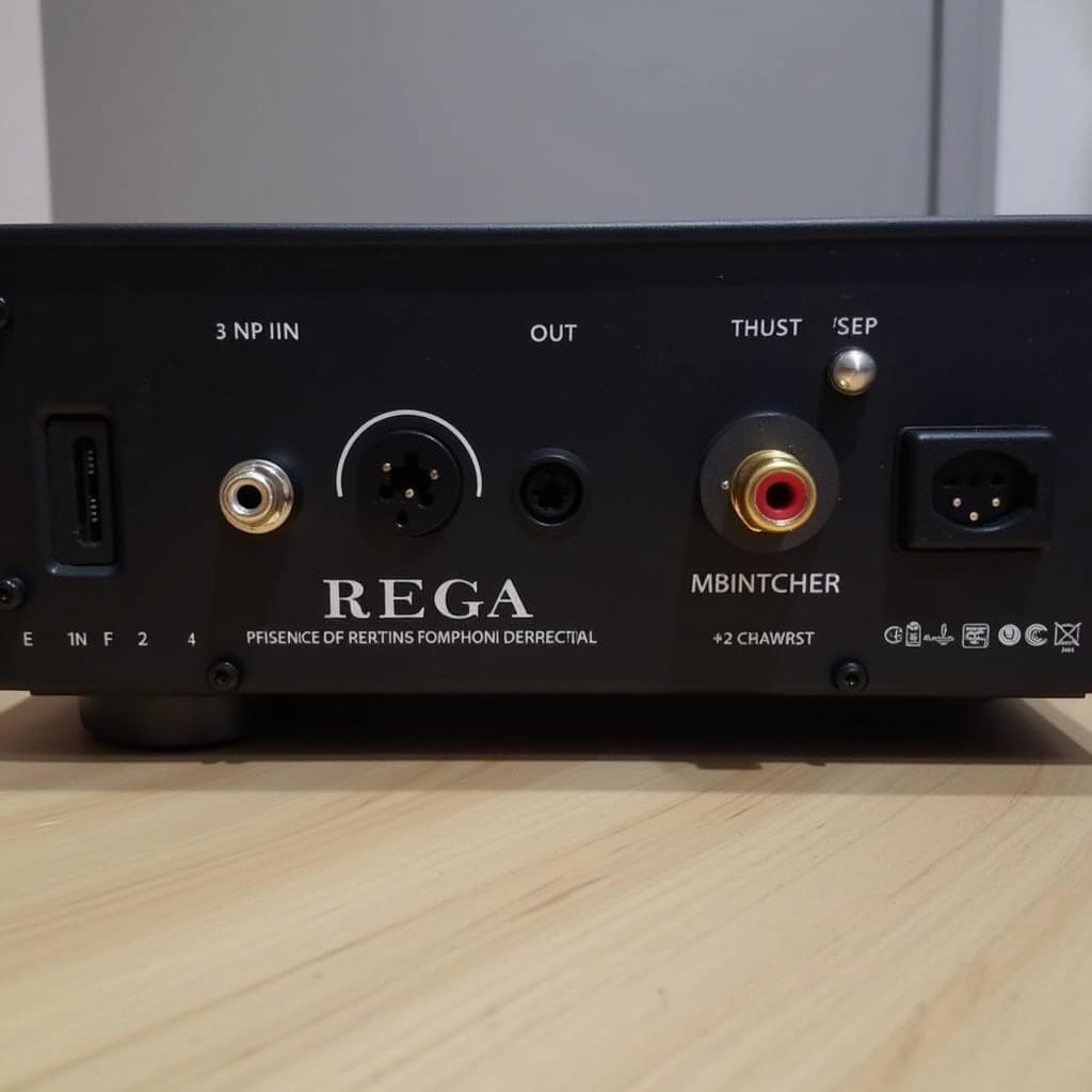 Rega Fono MM MK5 Phono Stage Connectivity