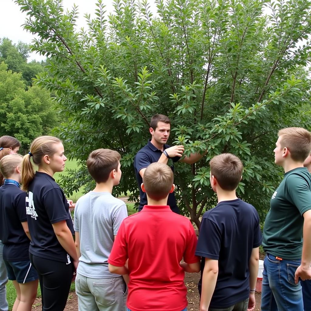 Students participate in an orchard workshop, learning about fruit tree pruning