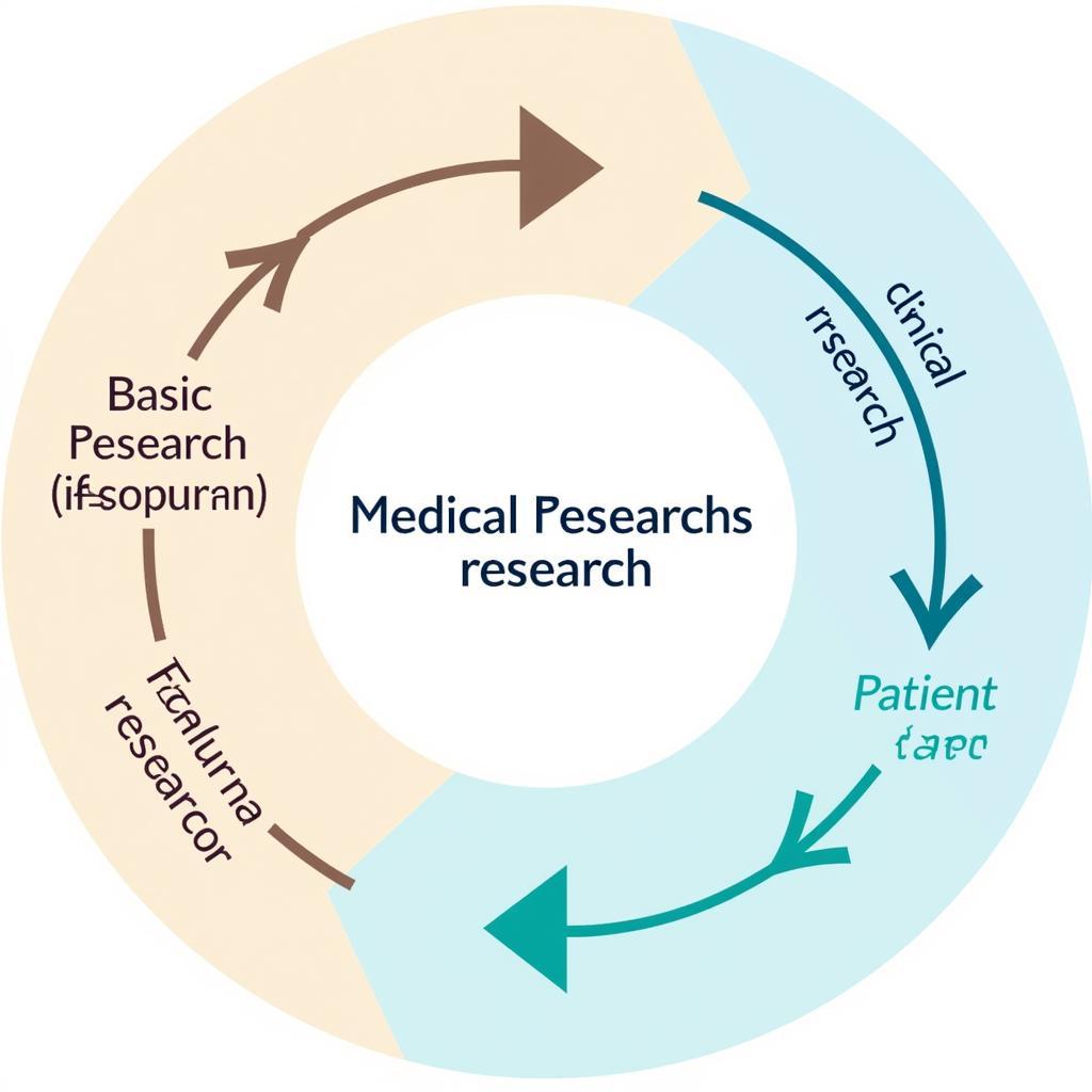 Different Types of Medical Research