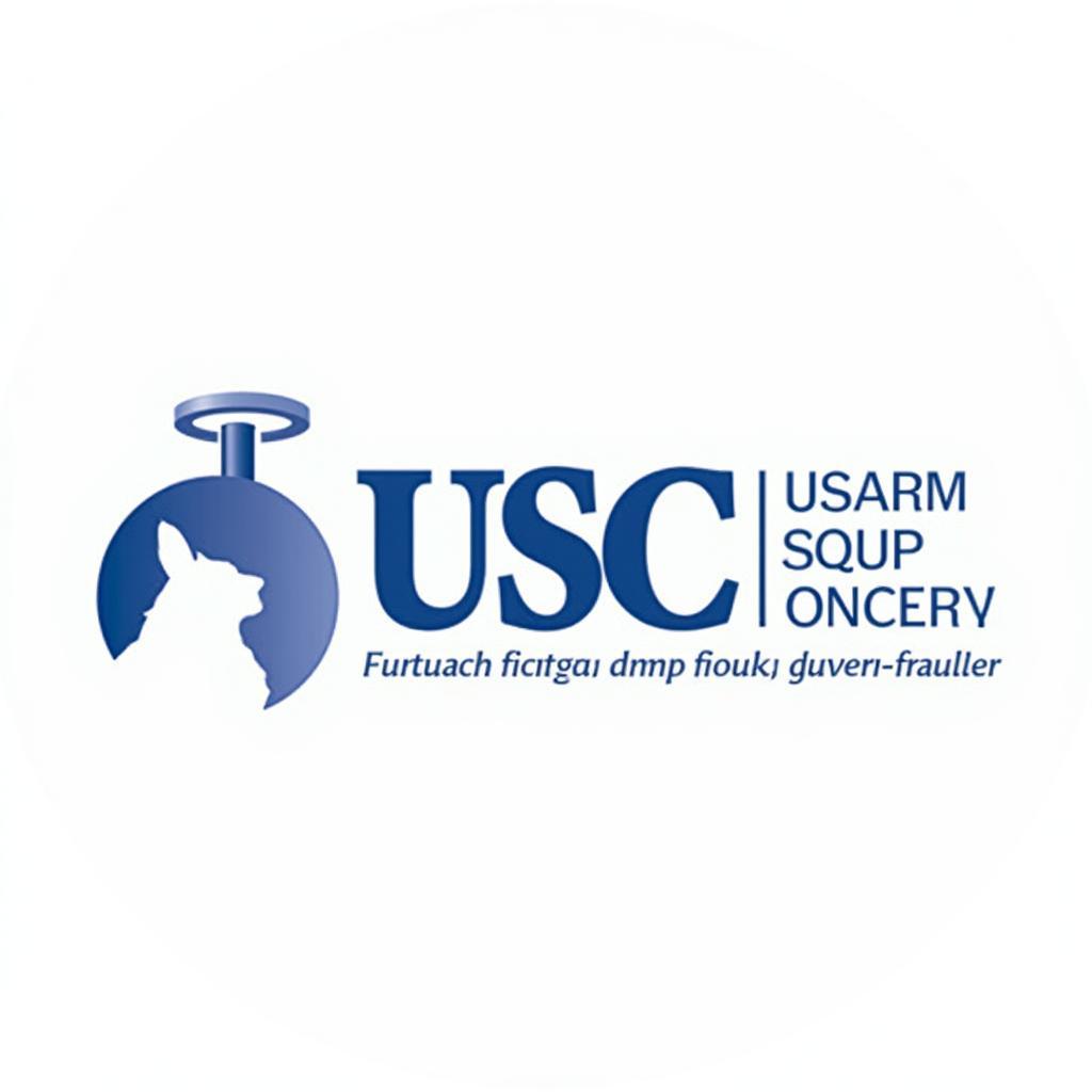 USC Foundation Logo