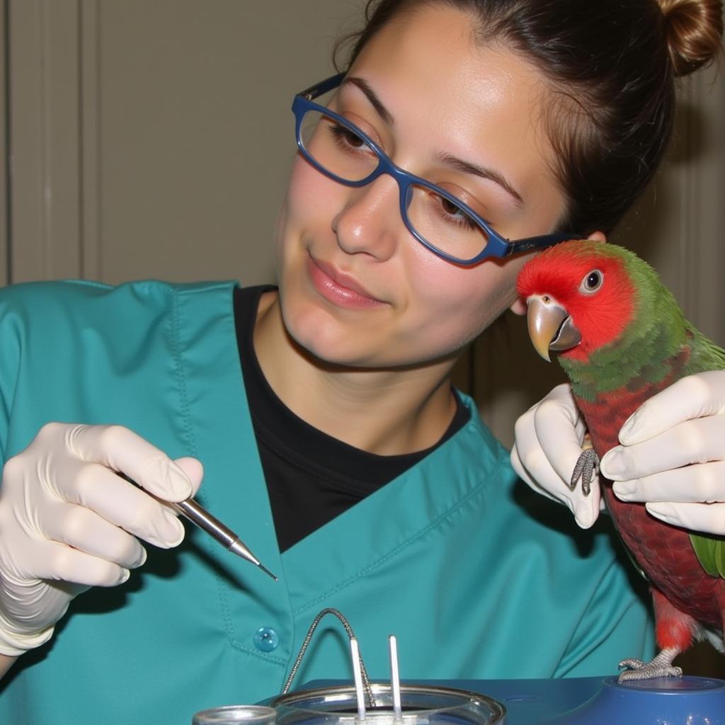 Veterinarian providing specialized care to a bird