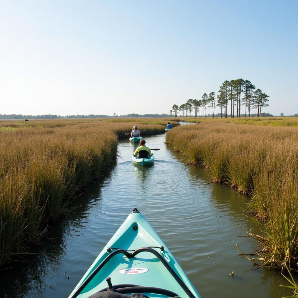 Exploring Weeks Bay Reserve Wildlife by Kayak