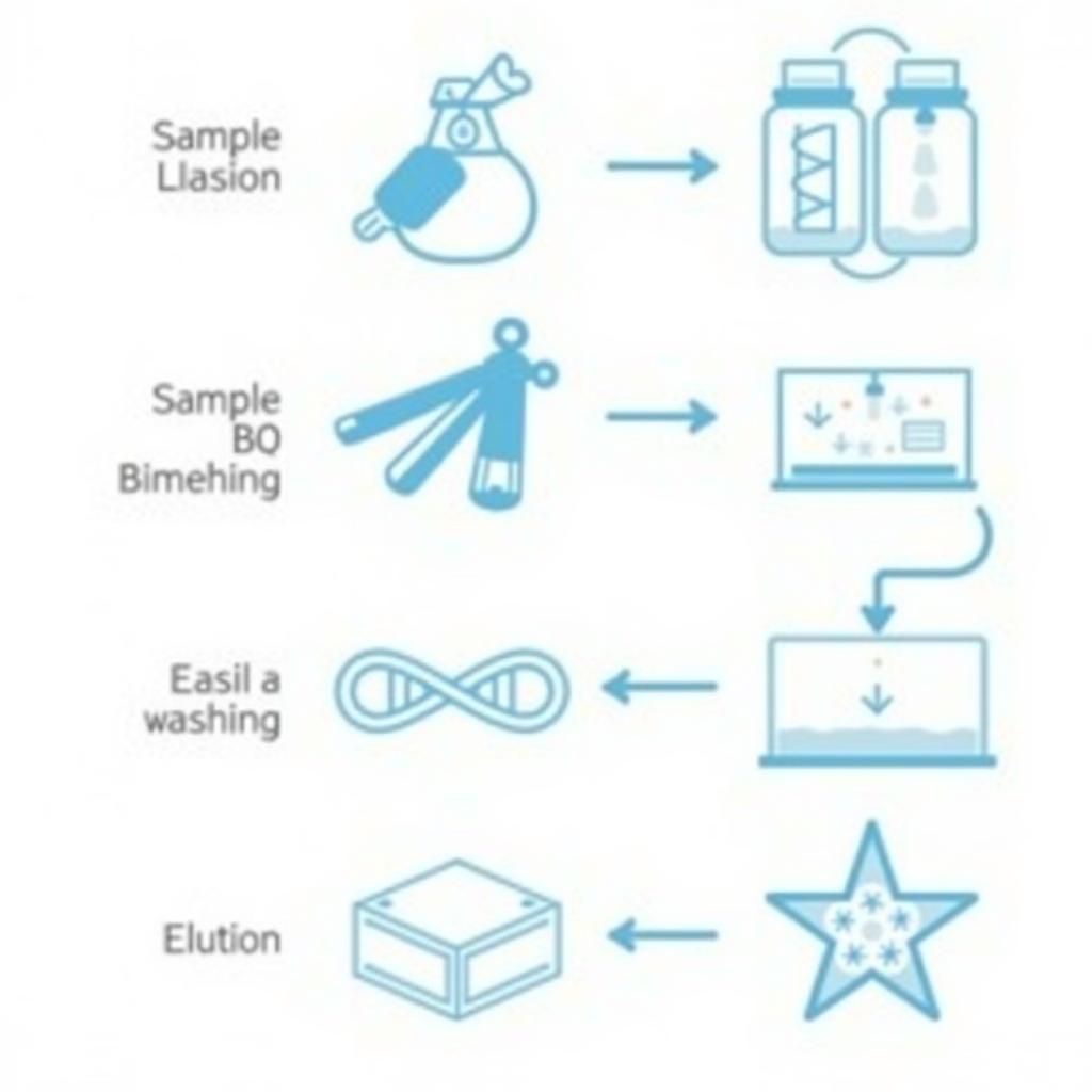 Zymo Research RNA Extraction Kit Workflow Diagram