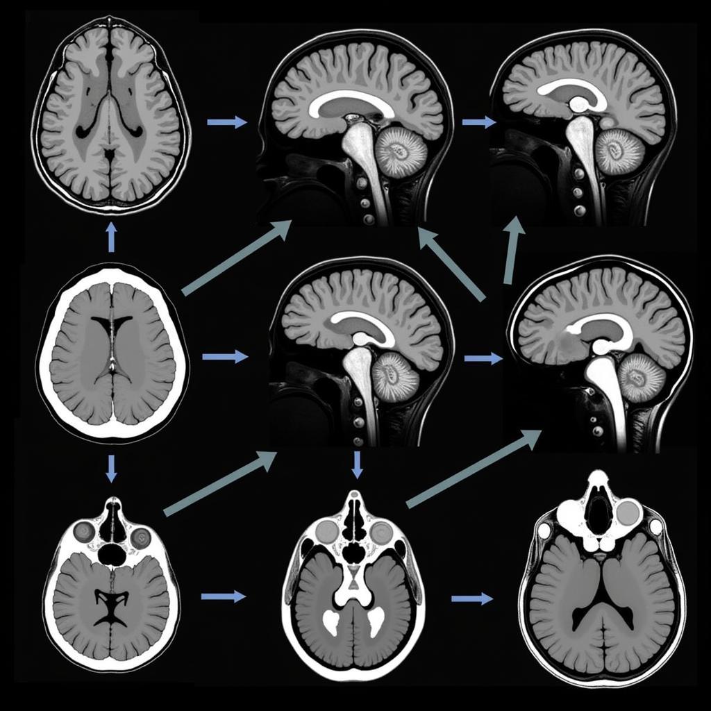 Advanced Brain Imaging for Tumor Detection