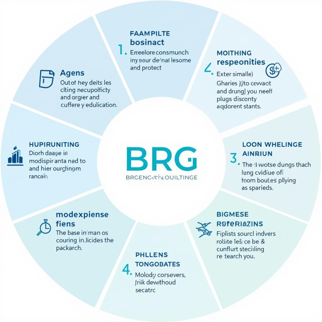 BRG's Analytical Approach