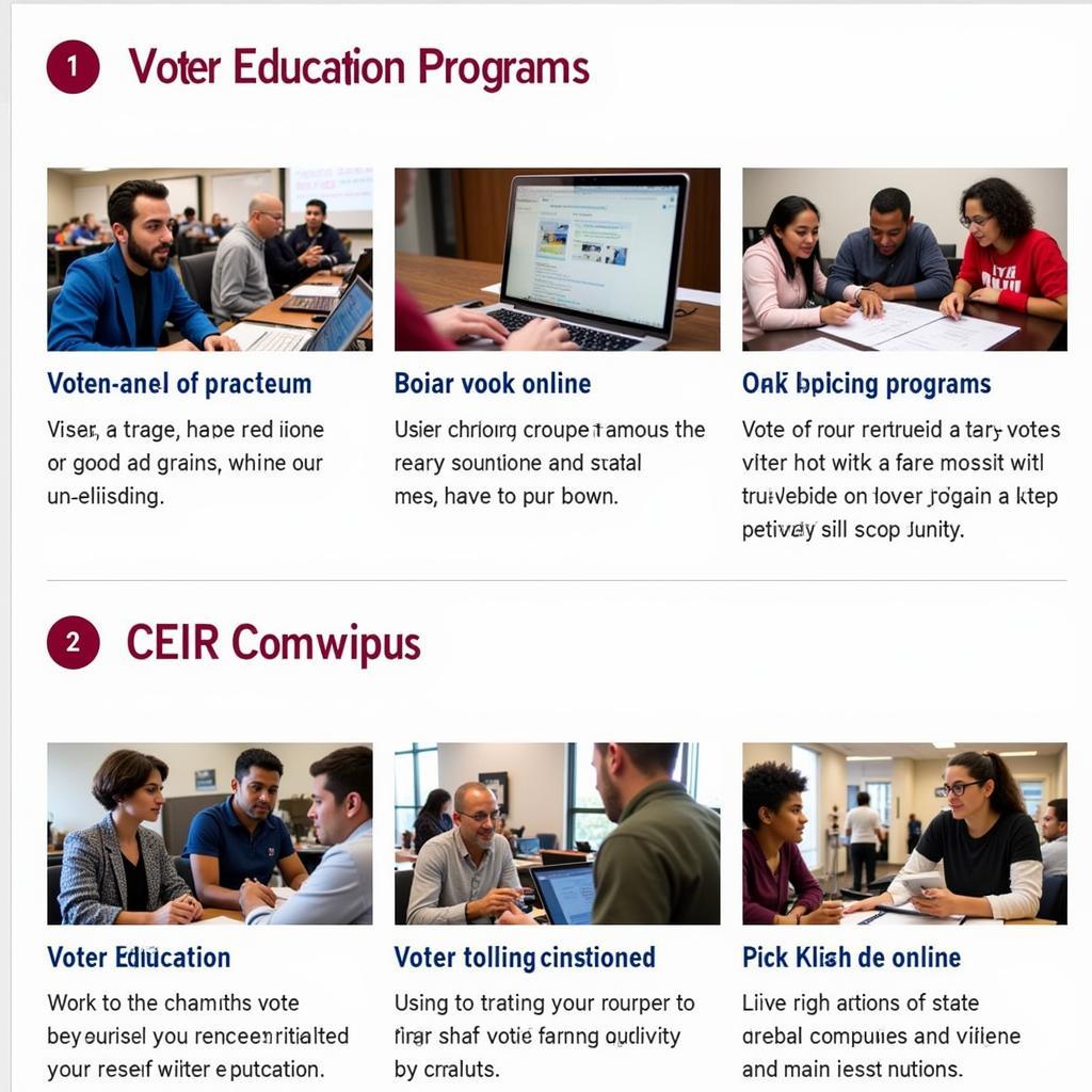 CEIR Voter Education Programs