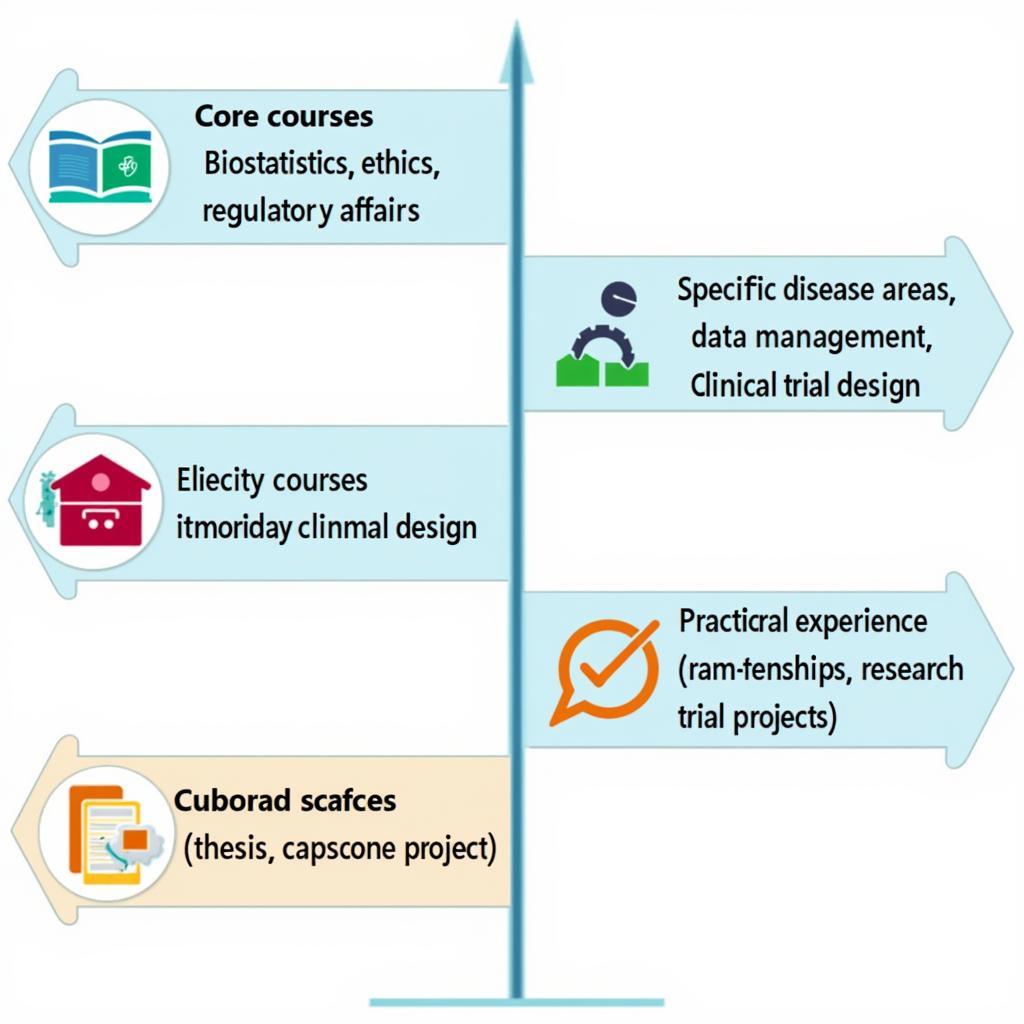 Clinical Research Curriculum Overview