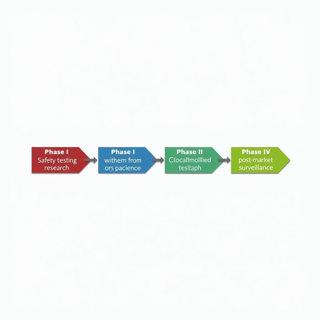 Clinical Research Phases Explained