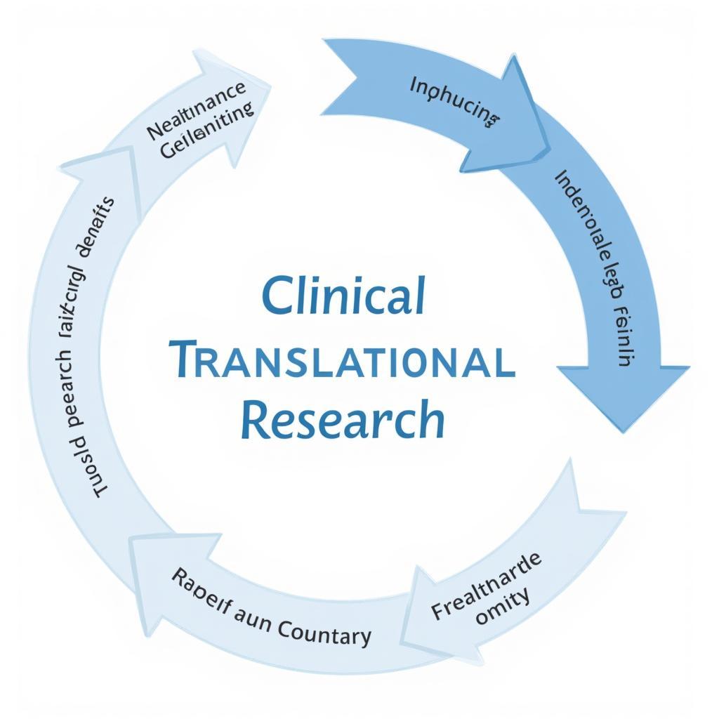 Clinical Translational Research Process