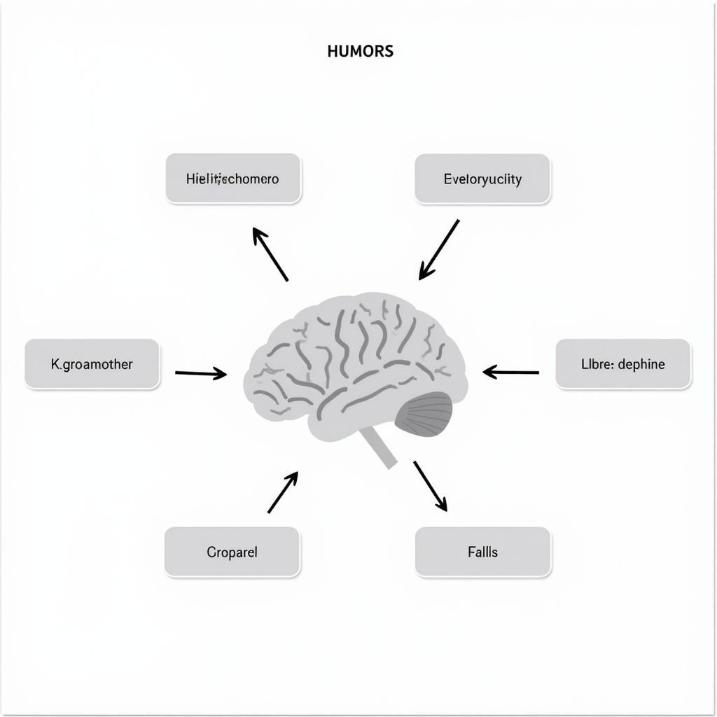 Cognitive Humor Research Diagram