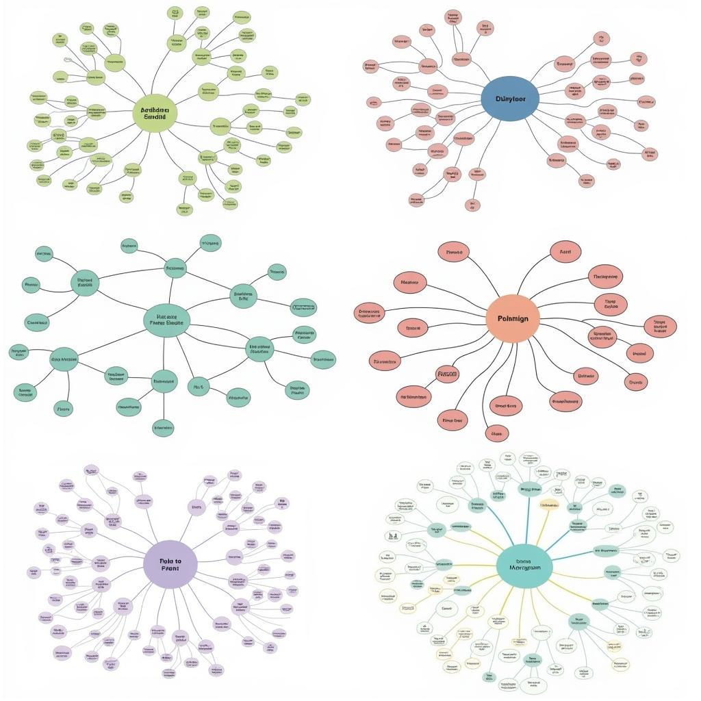 Examples of Conceptual Frameworks