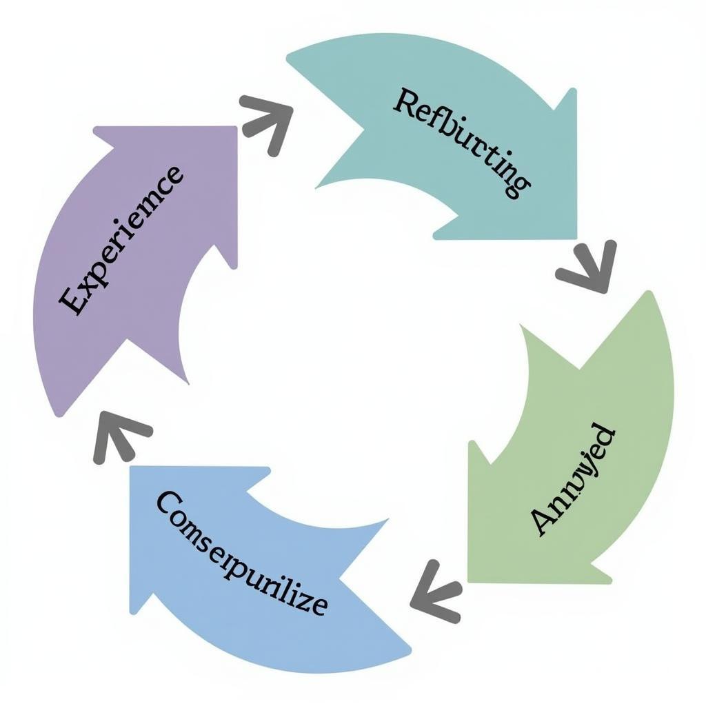 The constructivist learning cycle: Experience, reflection, conceptualization, and application.