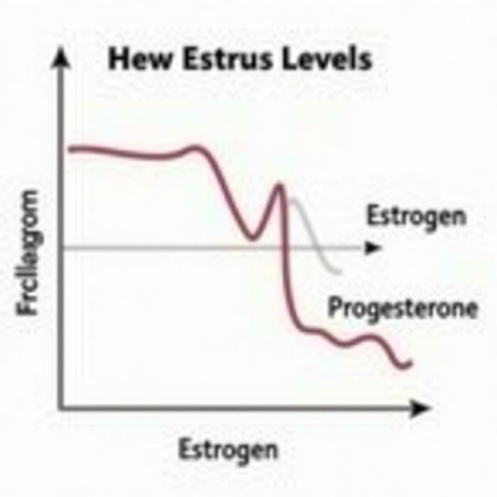 Hormonal Changes in Doe During Estrus