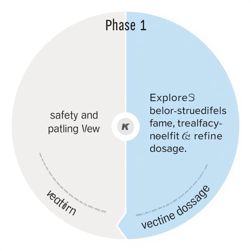 Early Phase Clinical Trial Diagram