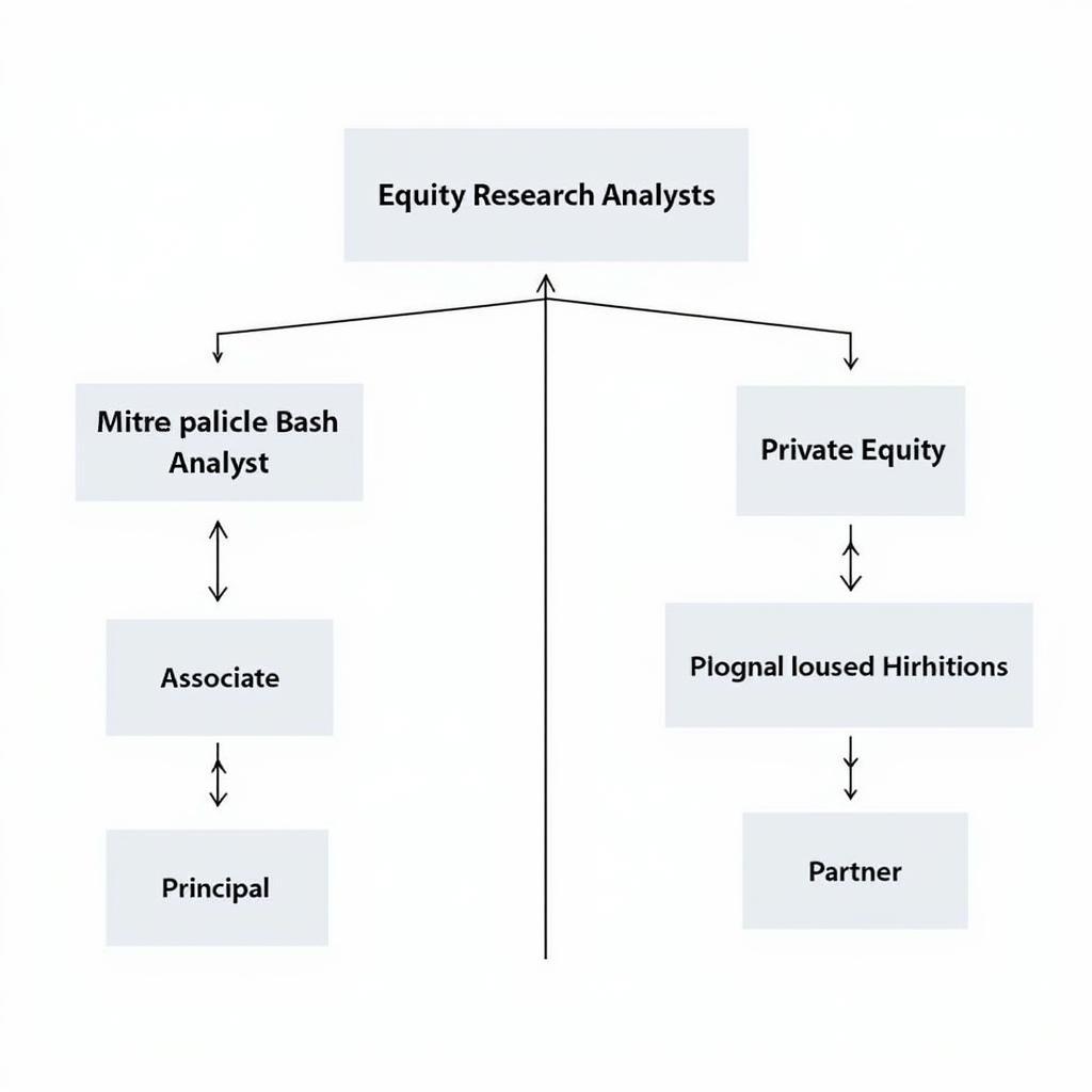 Career Path of an Equity Research Analyst Transitioning to Private Equity