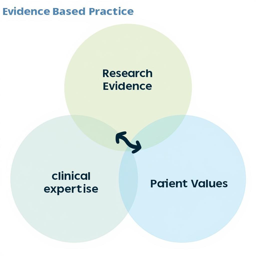 Evidence-Based Practice Diagram