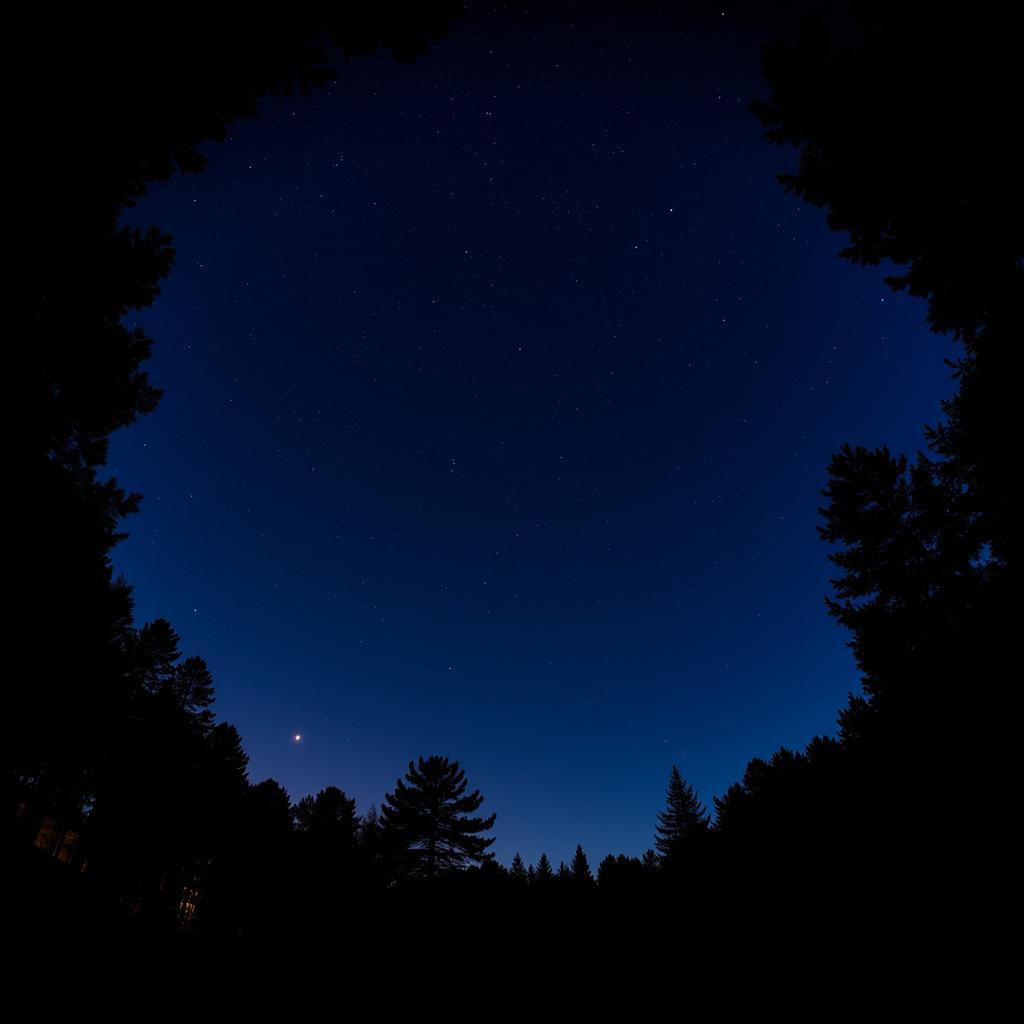 Night Sky at Haven at Research Triangle Park