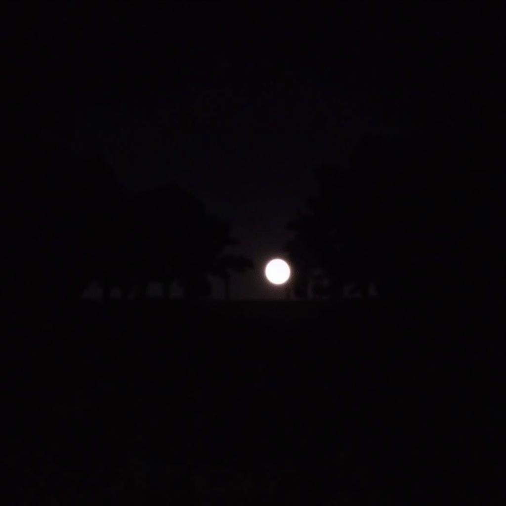 Orb Photo at Haven at Research Triangle Park