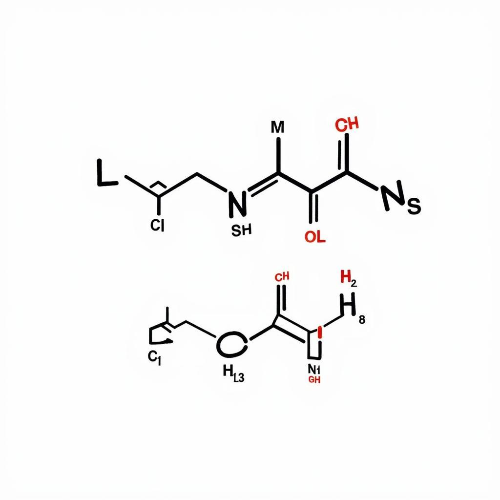 L-Carnitine Research Chemical Molecular Structure