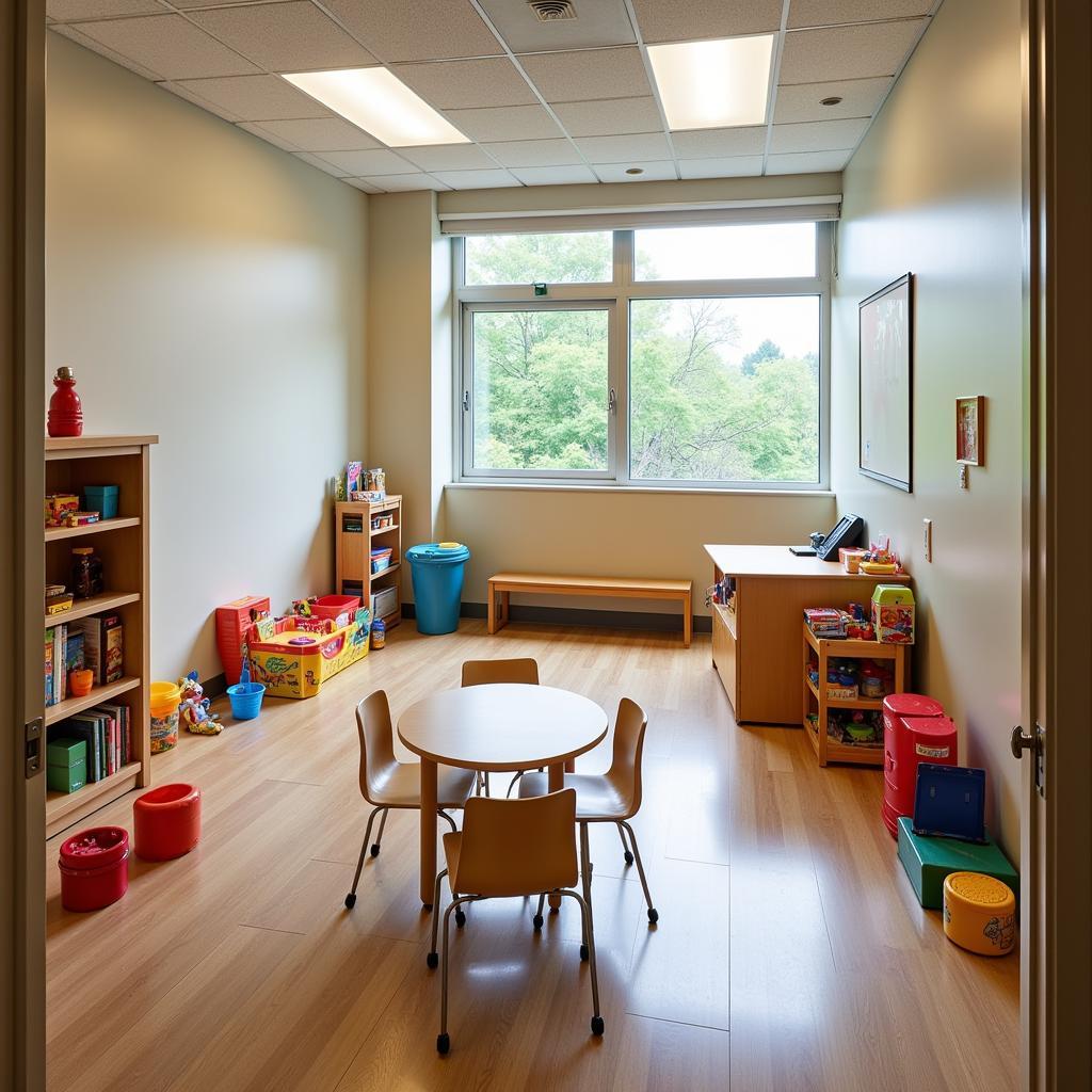 McDonnell Pediatric Research Building Playroom