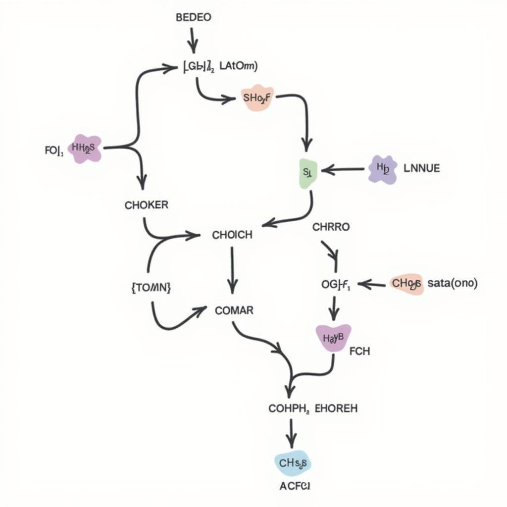 Metabolic Pathway Diagram