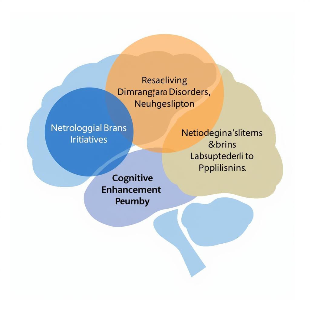 National Brain Research Initiative Goals