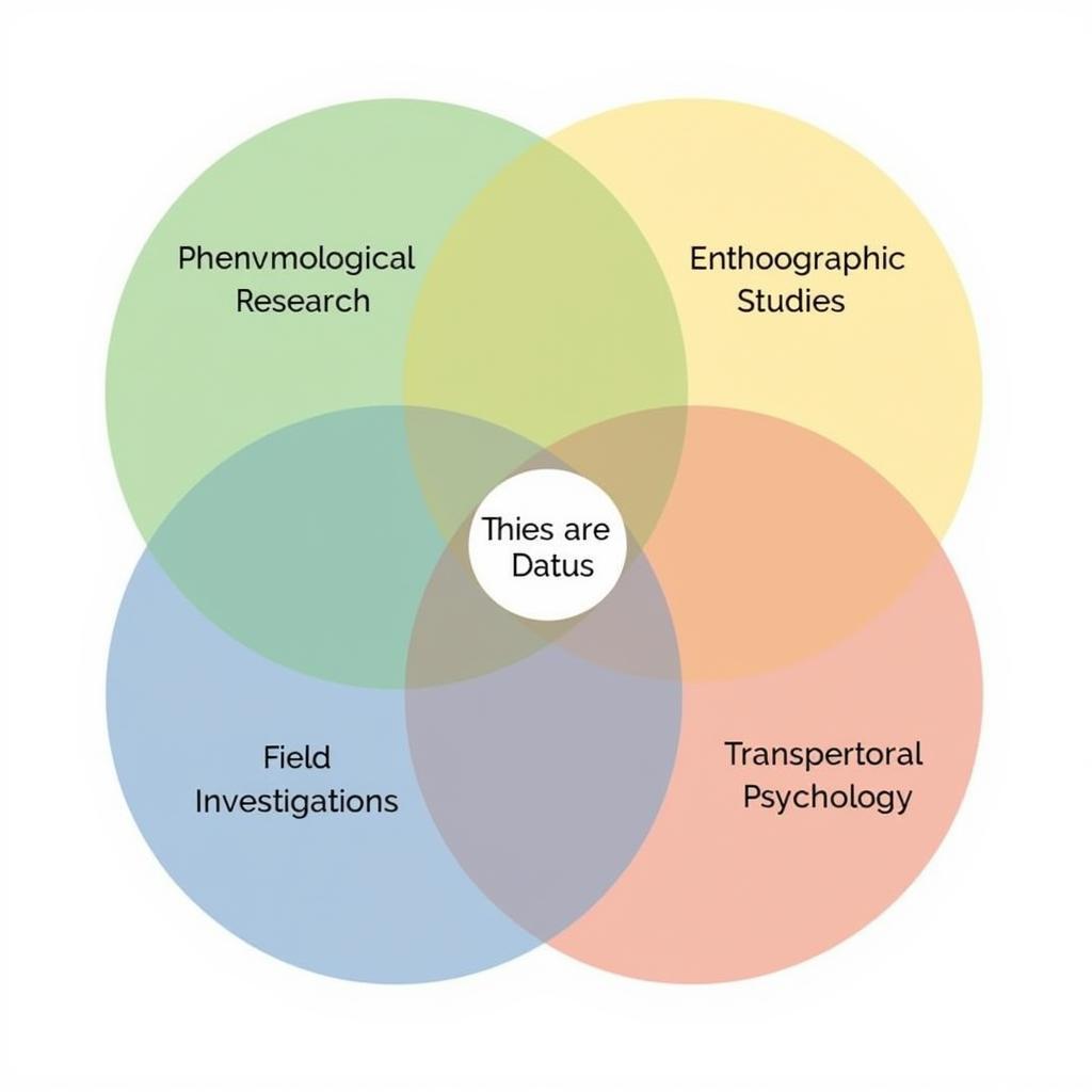 New Paradigm Research Methodologies