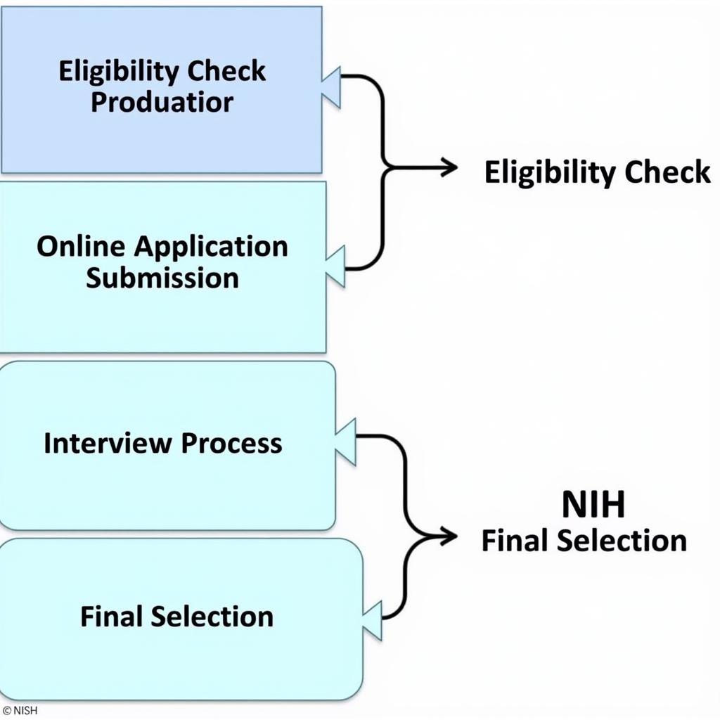 NIH MRSP Application Process