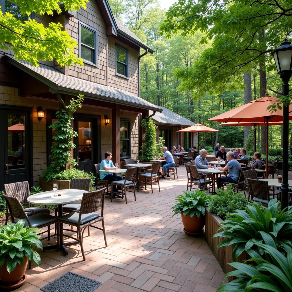 Outdoor Dining Experience on Research Forest