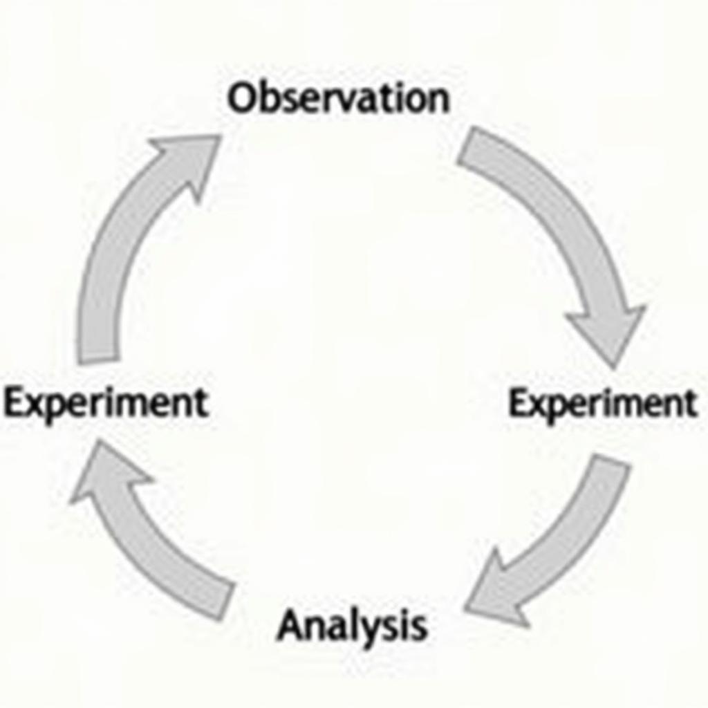 Scientific Method Process Flowchart