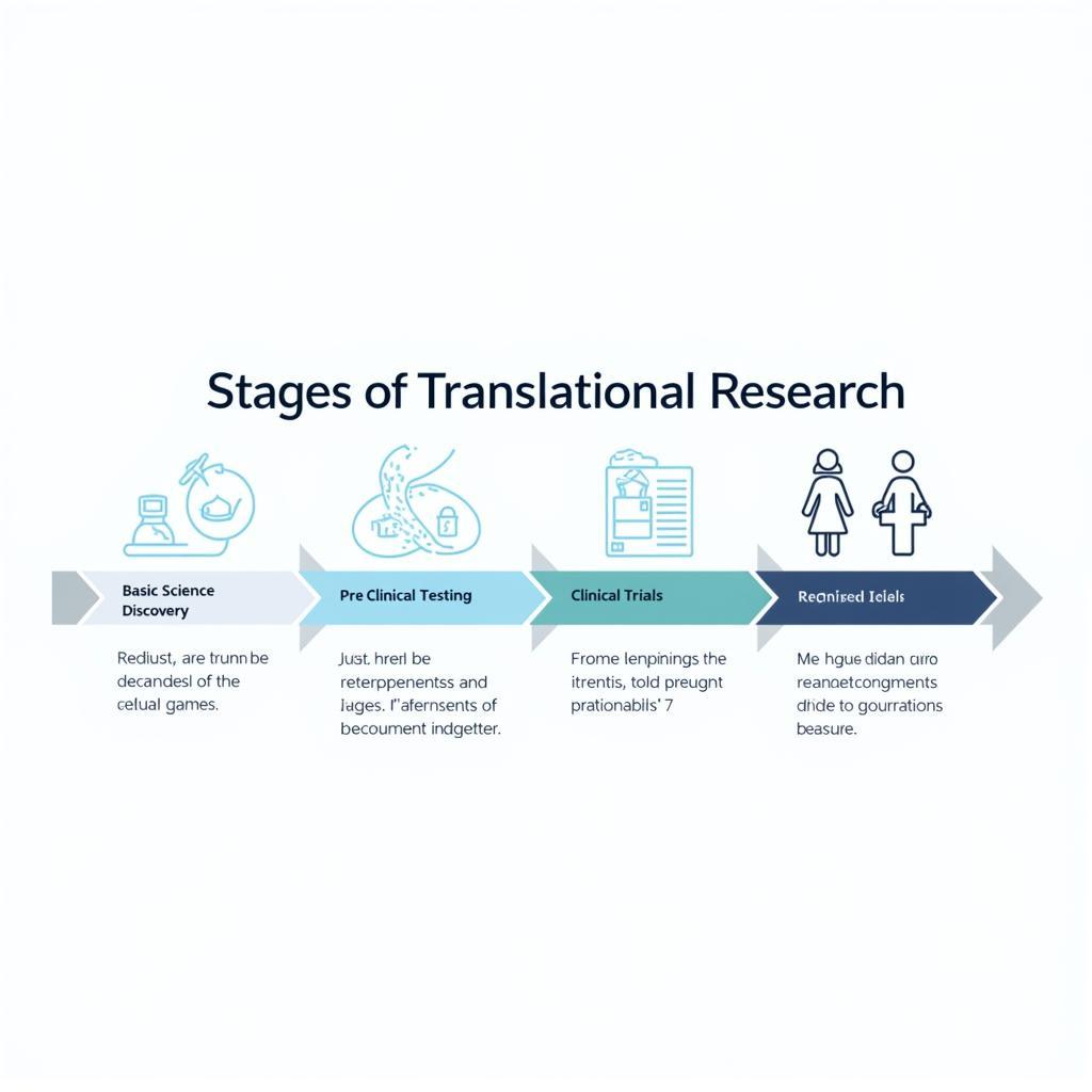 Translational Research Process