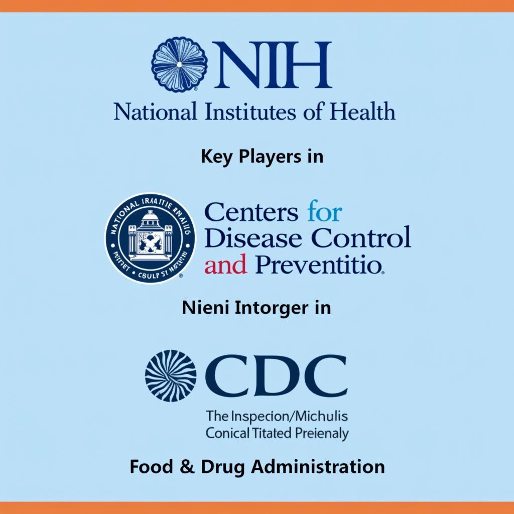 Key Players: NIH, CDC, and FDA in US Medical Research