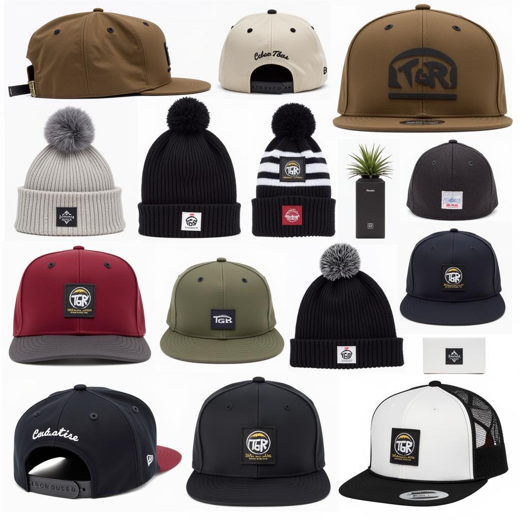 Different Styles of Teton Gravity Research Hats