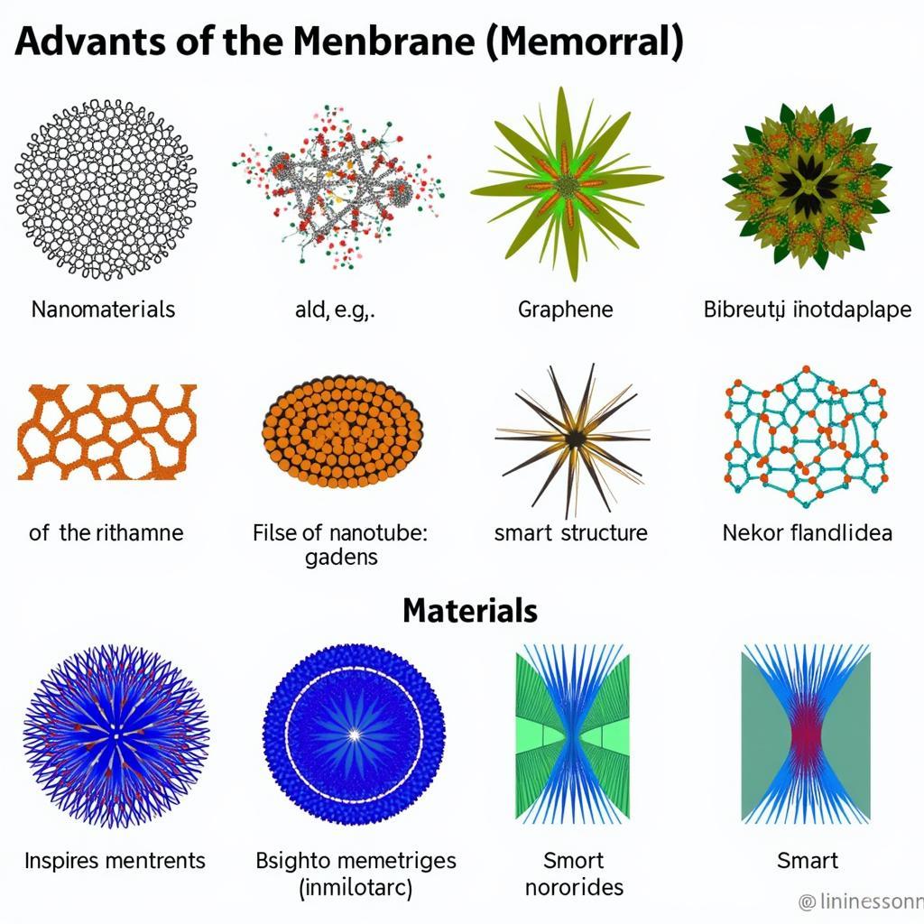 Advanced Membrane Materials